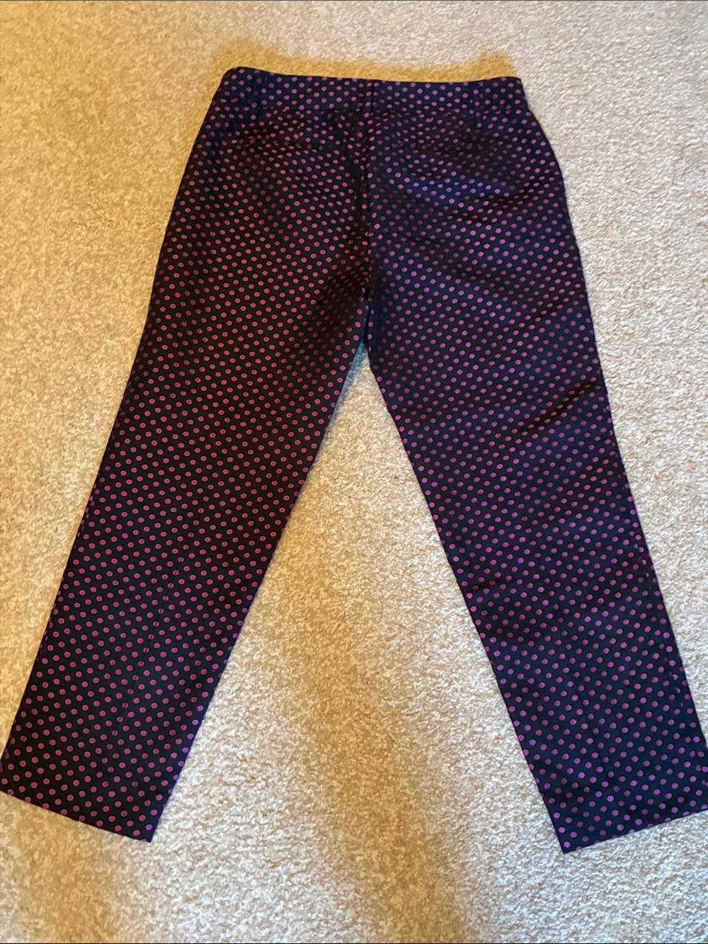 NWT J. Crew City Fit Skimmer Pants Polkadot 4 - Picture 3 of 6